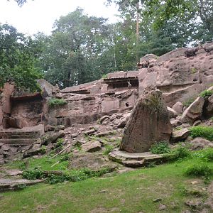 Alpine Ibex Enclosure at Nuremberg, 08/09/19