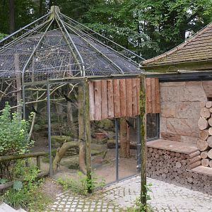 Original Yellow-throated Marten Enclosure (Now Holding Area) at Nuremberg, 08/09/19