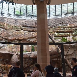 Lion/Tiger House Interior at Nuremberg, 08/09/19