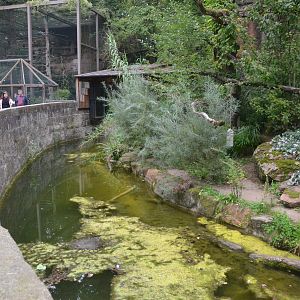 Fishing Cat Enclosure at Nuremberg, 08/09/19