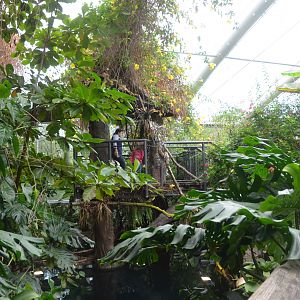 Manatee House Interior at Nuremberg, 08/09/19