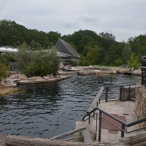 Dolphin Lagoon at Nuremberg, 08/09/19