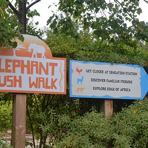 Elephant Bush Walk at Colchester, 09/09/19