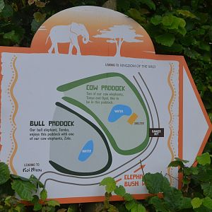 Elephant Bush Walk at Colchester, 09/09/19