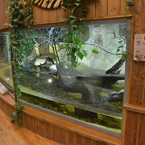 Refurbished Vivarium at Colchester, 09/09/19