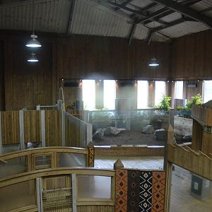 Extended Pygmy Hippo Indoor Enclosure at Colchester, 09/09/19