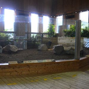 Extended Pygmy Hippo Indoor Enclosure at Colchester, 09/09/19