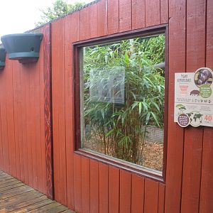Pygmy Hippo Enclosure (Formerly Patas Plains) at Colchester, 09/09/19