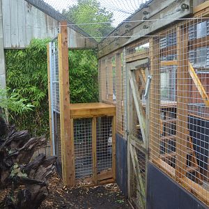 New Hippo Gate to Former Patas Monkey Enclosure at Colchester, 09/09/19