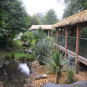 Bush Dog Enclosure at Colchester, 09/09/19