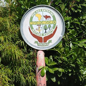 Lion area - Sign entering Ngorongoro nature reserve, 2019-08-11