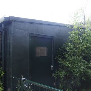 African lion holding house, 2019-08-11