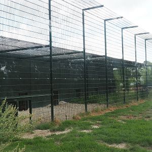 African lion holding cages and house, 2019-08-11