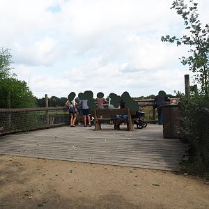 African lion viewing area, 2019-08-11