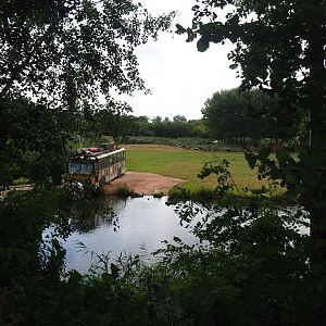 Reticulated giraffe exhibit with bus as viewing area, 2019-08-11