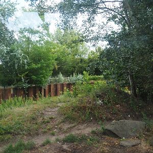Part of the Amur tiger exhibit, 2019-08-11