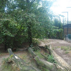 Part of the Amur tiger exhibit, 2019-08-11