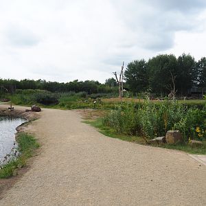 Pathway in between reticulated giraffe exhibit and new lemur island, 2019-08-11