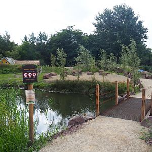 Access to new lemur island, 2019-08-11