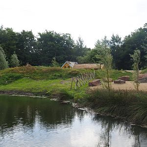 New lemur island (with three species), 2019-08-11