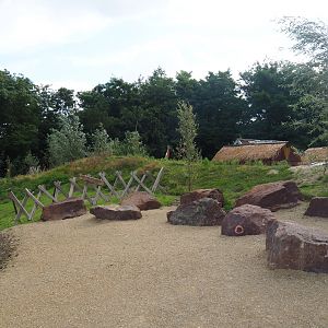 New lemur exhibit (with three species), 2019-08-11