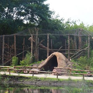 One of the new fossa exhibits seen from the lemur island, 2019-08-11