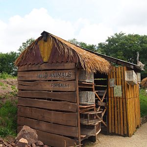 Itampolo village - Wild animal shop theming, 2019-08-11
