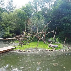 Lac Alaotra bamboo lemur island, 2019-08-11