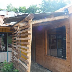 New lemur house, 2019-08-11
