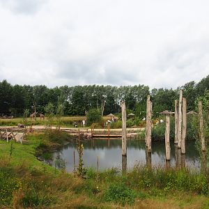 View of part of the new lemur island, 2019-08-11