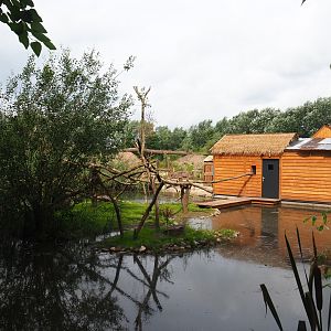 Lac Alaotra bamboo lemur island, 2019-08-11