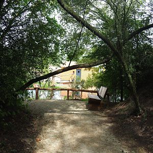 Lac Alaotra bamboo lemur viewing area, 2019-08-11
