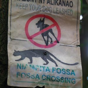 Fossa crossing sign, 2019-08-11