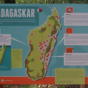 Environmental issues on Madagascar educational sign, 2019-08-11