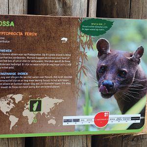 Sign Fossa, 2019-08-11