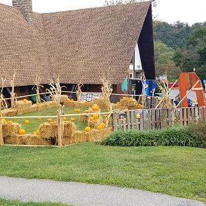 Lehigh Valley - Pumpkin picking
