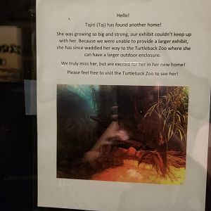 Lehigh Valley - Sign about dwarf crocodile