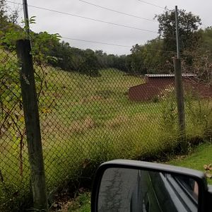 Lehigh Valley - Elk field