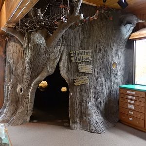 8/19/2019 - Habitat Hollow