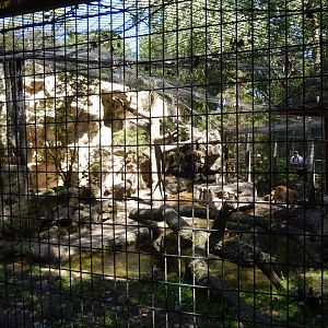 8/19/2019 - Cougar Exhibit