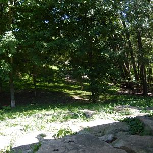 8/19/2019 - Gray Wolf Habitat