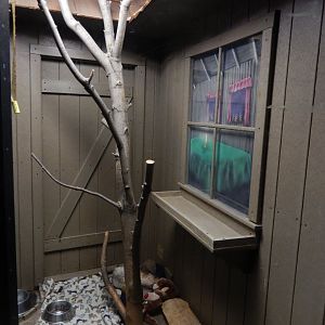 8/19/2019 - Opossum Exhibit