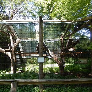 8/19/2019 - Raven Cage