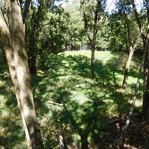 8/19/2019 - White-tailed Deer Habitat (Right Side)