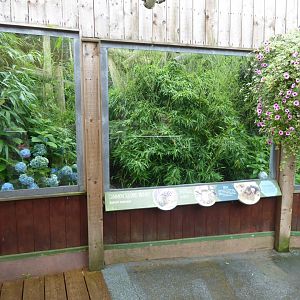 Common squirrel monkey enclosure 050819
