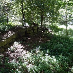 8/19/2019 - Coyote Habitat