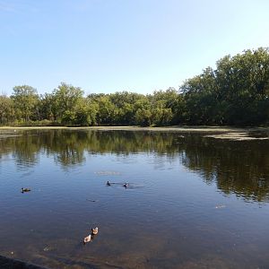 8/19/2019 - Lake View