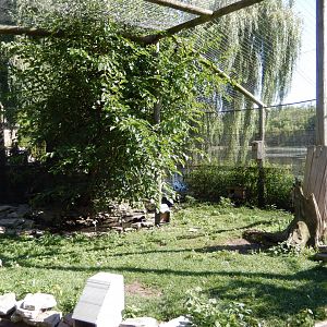 8/19/2019 - Wetland Aviary