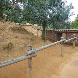 Wallaby walkthrough 050819