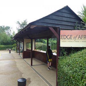 Edge of Africa Spotted hyena viewing area 050819